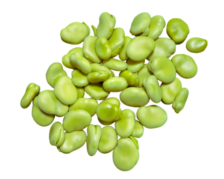 沢山の新鮮なそら豆の実アップ画像