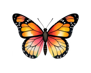 Obraz premium Mariposa monarca estilo acuarela, aislada sobre fondo transparente. PNG.