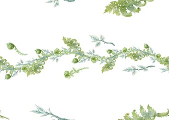 Seamless border of fern and pedilanthus. Hand-drawn watercolor horizontal line on white background. Floral repeatable fern pattern for printing on fabric, clothes, wallpapers, wrap paper package, etc.