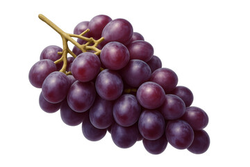 Fototapeta premium Red, ripe grapes dangling from vine branch, showcasing natural freshness with crisp, clean backdrop