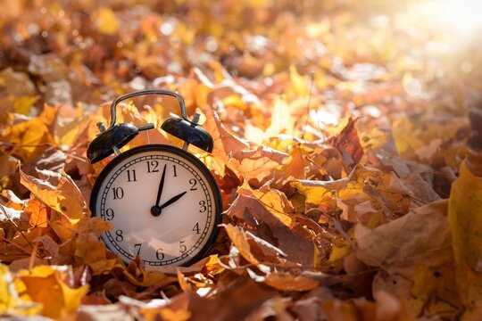Alarm clock among golden yellow fall leaves with bright sunshine, autumn time change concept
