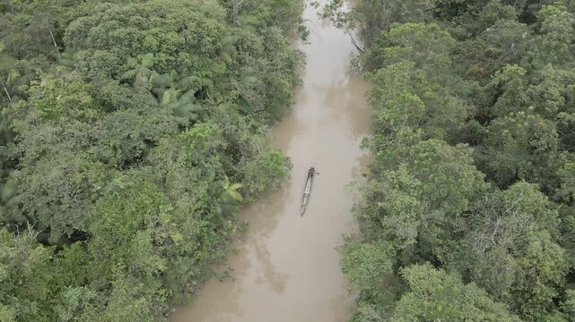 aborigen navegando en un rio selva tropical naturaleza