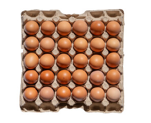 Top view of multiple fresh eggs arranged in a carton tray isolated on a transparent background for food packaging design. 