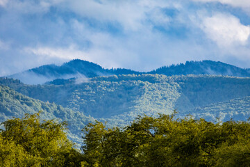 Obraz premium Dramatic mountain landscape with lush green trees and vibrant clouds above a calm lake. Scenic Carpathian view perfect for nature and travel themes