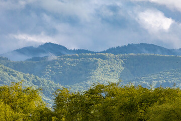 Idyllic forested mountain peaks with misty layers and dramatic clouds above. Serene and captivating...