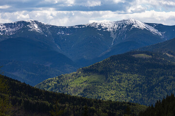 Stunning view of snowy mountain tops in the Carpathians emerging through layers of deep green forest and rich shadows. Ideal for nature, hiking, or scenic travel themes