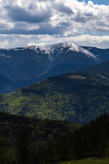 Captivating vertical shot of a forested valley and snowy Carpathian peak under a dramatic sky. A perfect image for nature, mountain tourism, and outdoor lifestyle themes