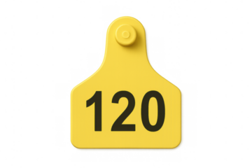 Yellow cattle ear tag with number one hundred twenty on transparent background, livestock management concept