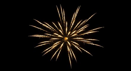 Obraz premium yellow fireworks art in the night skyorks in the night sky