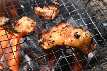 七輪で焼くホルモン焼き
