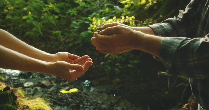 Hands hold a seedling together, symbolizing unity on World Environment Day