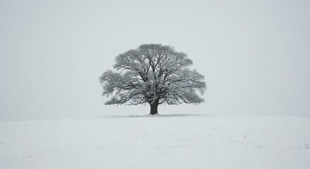 Snow Covered Tree on Hill
