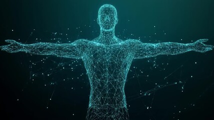 Abstract digital human body. Polygonal wireframe silhouette. Low poly anatomy blue background. Technology futuristic man or woman model. 3D vector illustration consists of thin lines, connected dots. - Powered by Adobe