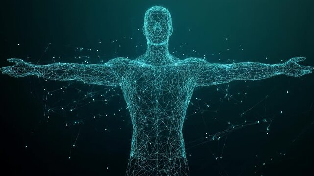 Abstract digital human body. Polygonal wireframe silhouette. Low poly anatomy blue background. Technology futuristic man or woman model. 3D vector illustration consists of thin lines, connected dots. 
