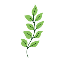 Leaf vector colorful on transparent background
