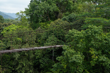 Fototapeta premium Old rustic rope bridge suspended over green forest amid dense jungle canopy