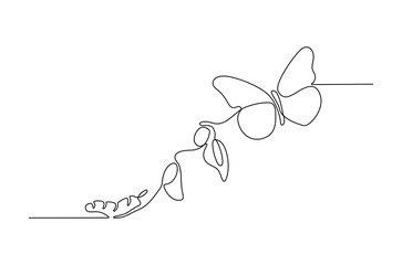 Continuous one line drawing of Butterfly life cycle. Single line drawing illustration of Growth Butterfly. Perfect metamorphosis concept vector art. Line vector illustration.