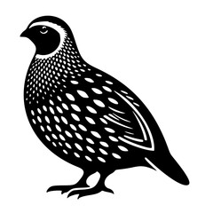 icon, vector silhouette of quail
