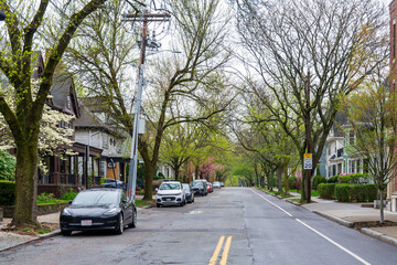Quiet residential street with parked cars and spring trees in Brookline, Massachusetts, USA
