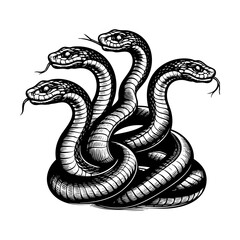 Fototapeta premium Four head snake sketch engraving sketch engraving black and white outline. Scratch board imitation. illustrated in vintage line art style on a white background.