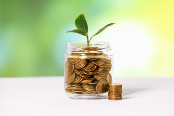 Investment concept. Glass jar with coins and sprout on light table against blurred green background