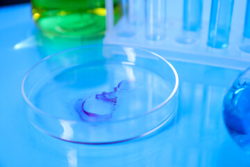 Petri dish with sample on light blue table, closeup
