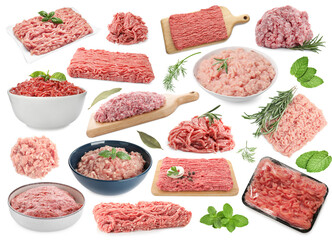 Fresh raw minced meat on white background, collage