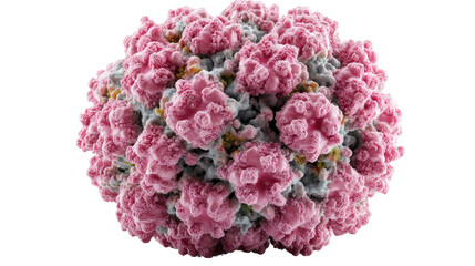 Fototapeta premium Virus Structure: a detailed scientific representation of a virus. The image showcases its intricate structure and complexity, representing the microscopic world of viruses.