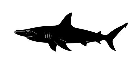 Obraz premium Shark Silhouette in Black Isolated on White Background
