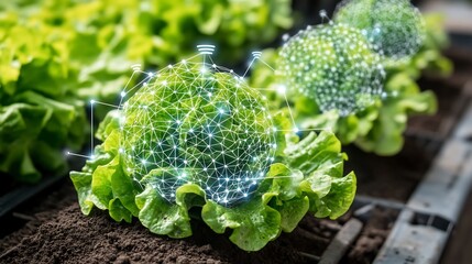 Smart agriculture powered IoT sensors for soil moisture climate tracking and crop optimization