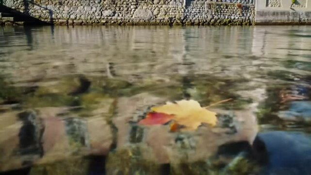 Abstract reflection of rocks and trees in flowing water in annecy canal