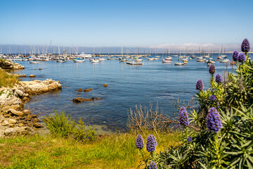 View of the Harbor in Monterey Bay, California