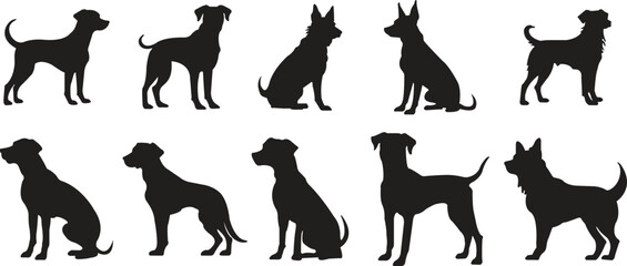 Dog icons set in trendy black flat styles. Wildlife signs. Animal silhouette symbols template for graphic and website designs vectors illustration collection isolated on transparent background.
