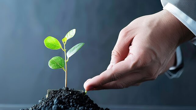 Charting the Path to Prosperity: Business Growth and Marketing Target Concepts &ndash; How Visionaries Outline Goals, Strategies, and Success for Startups and Enterprises. Immerse in a dynamic framework whe