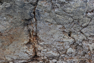 Rough, natural stone texture with earthy tones, perfect for rustic backgrounds and architectural design elements.
