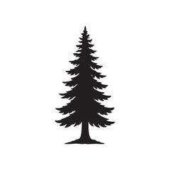 tall pine tree vector