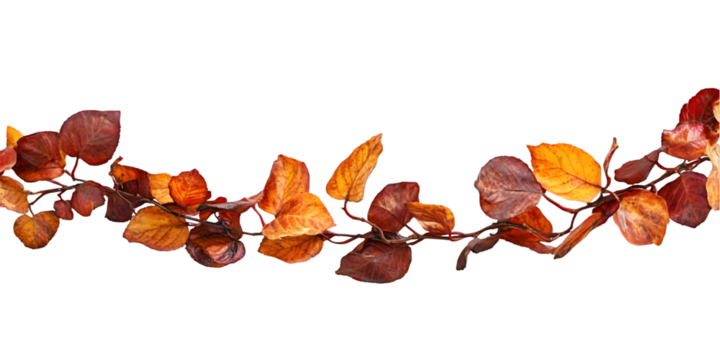 Autumn Leaves Branch Natural Foliage Decoration