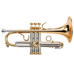 Naklejka premium Trumpet musical instrument gold and silver tone