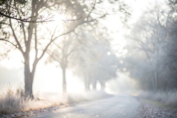 Obraz premium Abstract blue night forest landscape with a lone tree, sunlight breaking through mist and fog on a winter road