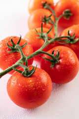 採れたて新鮮なミニトマト