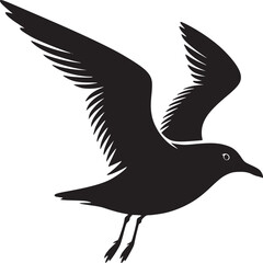 black headed gull isolated on white