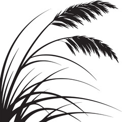 Fototapeta premium palm tree silhouette