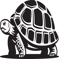 tortoise with turtle