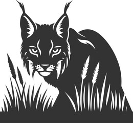 Obraz premium Black artwork lynx animal vector silhouette