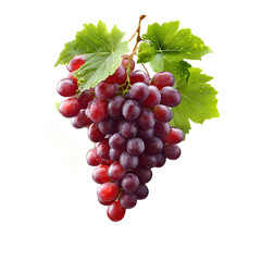 A vibrant cluster of ripe juicy red grapes hanging from the vine surrounded by fresh green leaves against a white background