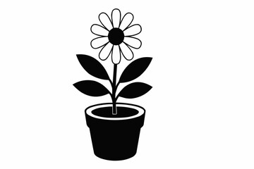 flower in a pot