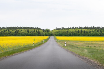 Empty country road in a rural area in Germany. Landscape with yellow blooming rape fields next to the asphalt street. Agricultural fields with cultivated plants.