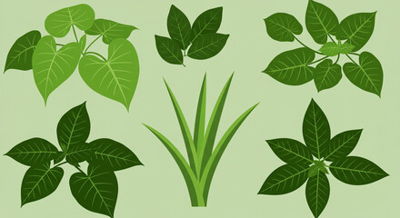 Green Water Plantain Leaf Clip Art Design