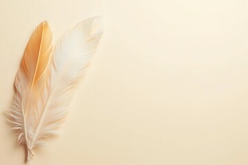 Obraz premium Golden and white feathers on blank beige background with copy space
