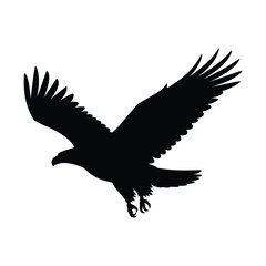 A black silhouette of a bald eagle vector Art & Illustration